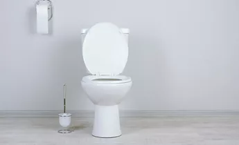 White Toilet with cleaning brush beside it